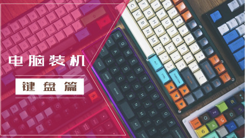 键盘的黑轴、青轴、红轴、茶轴是啥意思?你选对了吗?